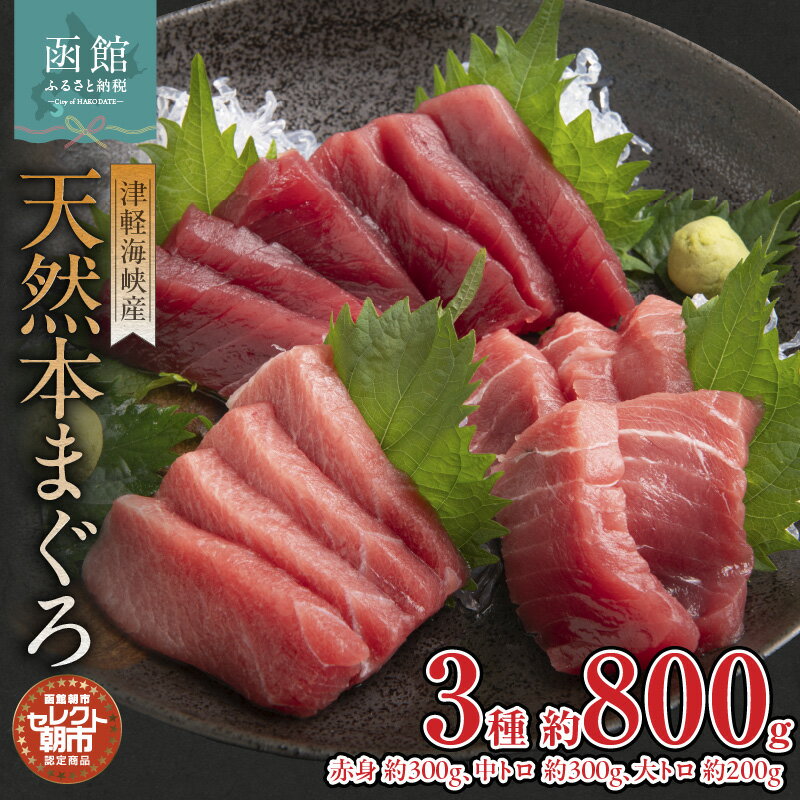 【ふるさと納税】天然 本まぐろ 赤身 約300g 中トロ 約300g 大トロ 約200g 津軽海峡産 セレクト 朝市 瞬間液体冷凍機 急速冷凍 品質 冷凍 解凍するだけ 簡単 お好み 部位 とれたて 風味 食感 函館朝市 のし対応可 お取り寄せ お取り寄せグルメ 北海道 函館市 送料無料