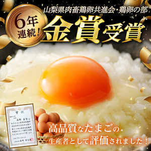 【3ヶ月定期便】金賞受賞 明野のたまご30個　卵 鶏卵  M～L サイズ 定期便 3ヶ月 知事賞 金賞受賞 たまご コク 旨味 濃厚 山梨県 北杜市産 明野 ハイチック