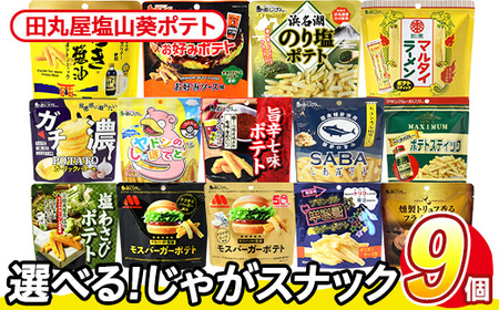 ＜訳あり＞ 訳アリ じゃがスナック 田丸屋塩山葵ポテト (9袋×50g) 簡易梱包 お菓子 おかし スナック おつまみ ポテト わさび ワサビ 山葵 送料無料 常温保存 【man218-D】【味源】