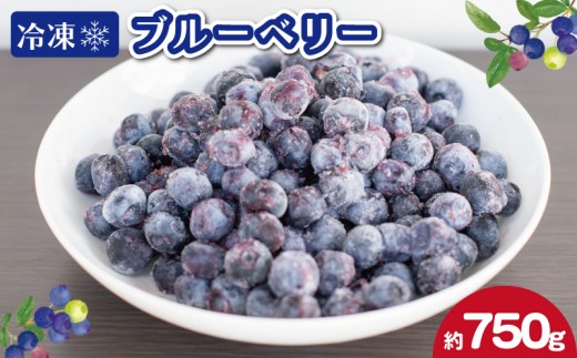 冷凍 ブルーベリー 750g フルーツ 国産 果物 大粒 甘い 糖度 ジャム ジュース ケーキ ゼリー スムージー ヨーグルト 洋菓子 お菓子 焼菓子 おやつ デザート スイーツ ポリフェノール アントシアニン 美容 健康 ギフト 贈答 プレゼント お取り寄せ グルメ 送料無料 徳島県 阿波市 AWABlueberryファーム