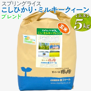 【新米】スプリングライス こしひかり・ミルキークィーン ブレンド (玄米)5kg ※着日指定不可 | 米 こめ コメ ご飯 玄米 単一米 国産 茨城県産 ※2026年9月～発送 _BI69