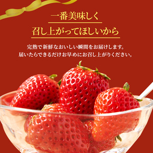 いちご詰合せ 古都華 奈乃華 あすかルビー 奈良県産 いちご詰合せ【約1080g 270g×4パック】【冷蔵】【先行予約】