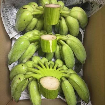 ふるさと納税 宜野座村 【2025年8月から順次発送】有機JAS認証を取得した アップルバナナ 2kg(14〜16本) |  | 01