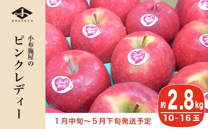 
            冬春が旬の希少なりんご ピンクレディー 約2.8kg 10～16玉［小布施屋］りんご 林檎 リンゴ 果物 フルーツ 期間限定 数量限定 長野県産 信州産 小布施町 2月発送 3月発送 4月発送 5月発送 令和6年産 【2025年1月中旬～5月下旬】［A-51］
          