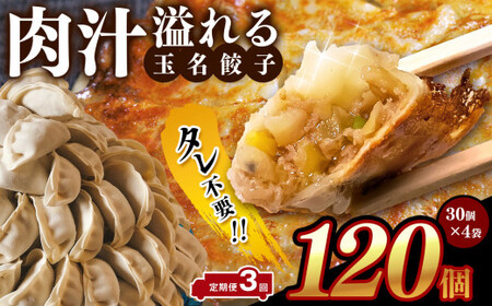 【 定期便 3回 】タレ不要? 肉汁 溢れる『 玉名餃子 』 120個 （30個×4袋）| 餃子 ぎょうざ お手軽 小分け 冷凍 冷凍食品 おかず 豚肉