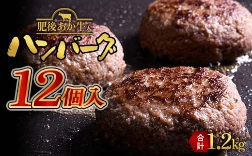 FKK19-997 あか牛入りハンバーグ100g×12個 牛 ハンバーグ 牛肉 ビーフ 肉 食品