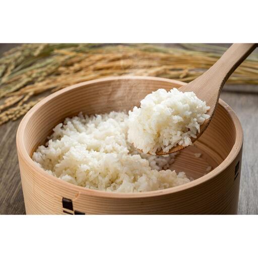 こしひかり 富士 5kg