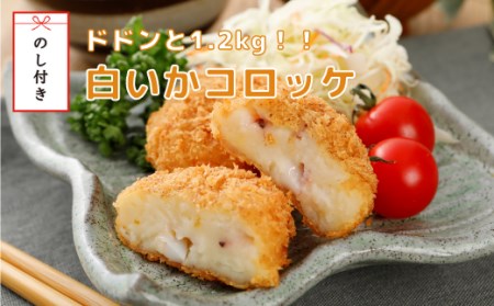 【のし付き】白いかコロッケ 1.2kg （オリジナルベシャメルソース+ほくほくポテト）