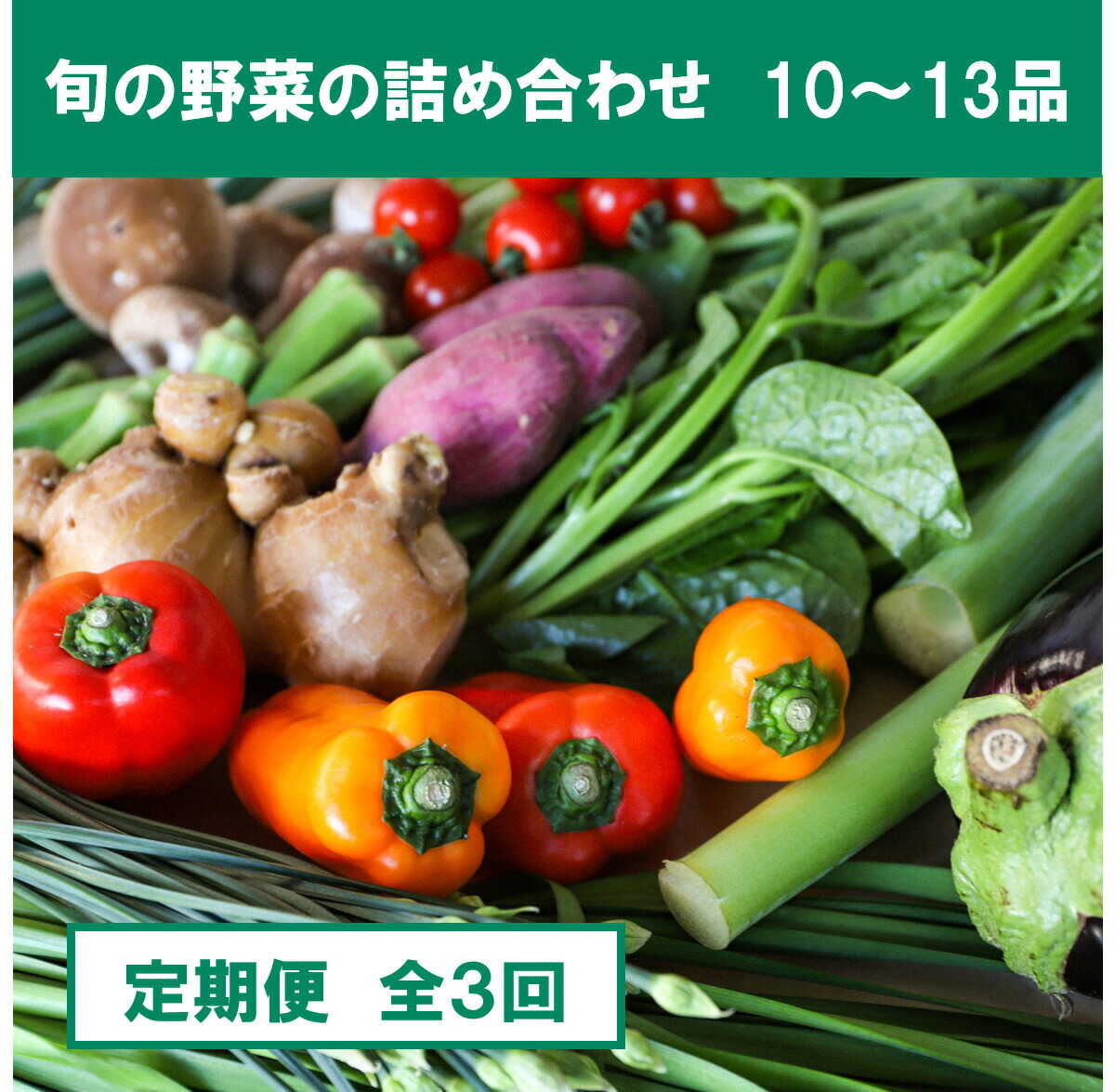【ふるさと納税】【全3回定期便】【土佐野菜】旬の野菜詰め合わせ10〜13品目 野菜 詰め合わせ 高知 旬 新鮮 産直 国産 朝採れ お取り寄せ セット 農家直送 土佐野菜 季節野菜 高知県土佐市/株式会社SIMA[BQAZ003]
