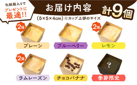 【種類豊富な詰め合わせスイーツ】チーズケーキ 6種 9個セット / ちーずけーき おしゃれ お菓子 贈り物 おやつ ギフト お取り寄せ 人気 誕生日 個包装 / 南島原市 / Hand Made Ca