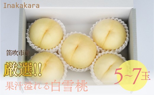 
                  Inakakara厳選! 果汁溢れる「白雪桃」 5～7玉(計2～2.1kg) 192-037-26y
                