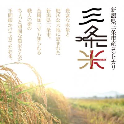 ふるさと納税 三条市 令和7年産米 新潟県三条市産 コシヒカリ 三条米 10kg【016S035】 |  | 01