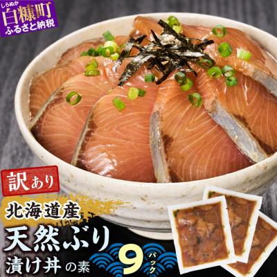 ふるさと納税 白糠町 北海道産 天然ぶり (ハマチ) 漬け丼の素 900g (りゅうきゅう100g×9袋)