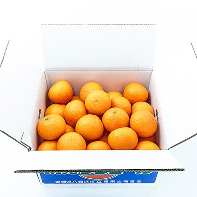 【まるで食べるジュース!越冬完熟品】愛媛産 清見オレンジ 10kg【G20−41】【1594852】