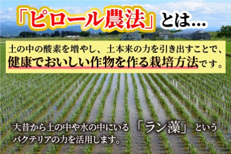 【令和6年産 新米】【3ヶ月定期便】こだわりの米！弱アルカリ性のピロール米 こしひかり 玄米 5kg×3回 計15kg [C-009002]