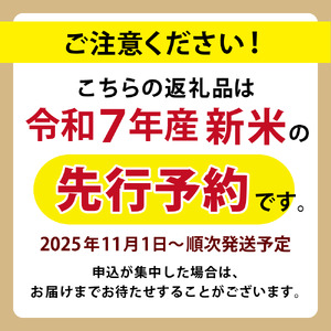 【令和７年産】＜定期便全12回＞ 新米 真庭市産きぬむすめ 白米 ５kg×１２回 岡山県 竹中商店 先行予約 【takenaka013-01-tkb12】