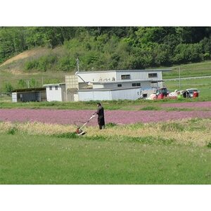 夢のひかり　5kg(こしひかり)【1202412】