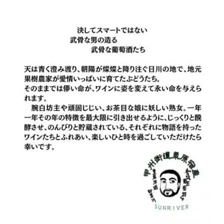 東晨洋酒 飯島さん家のベーリーA 無添加ワイン【1706022】