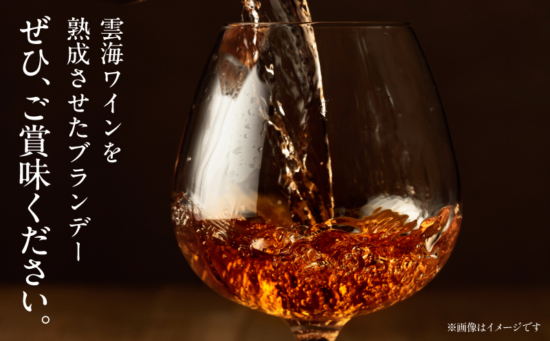 【最速便】雲海葡萄酒醸造所 ブランデー 720ml 国産 国産ブランデー 酒 洋酒 お酒 アルコール 果実酒 葡萄酒 熟成 蒸留 贈答用 贈り物 ギフト プレゼント 記念日 誕生日 イベント 手土産_