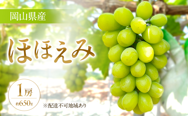 【限定200個】【2026年先行予約】 ぶどう 岡山県産 超希少品種 ほほえみ 1房(約650g) 《2026年8月下旬-9月中旬頃出荷》 葡萄 ブドウ フルーツ 果物 スイーツ 数量限定 期間限定 岡山 里庄町