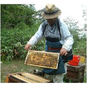 熊野古道　峠の蜂蜜2本セット(日高町)【1221403】