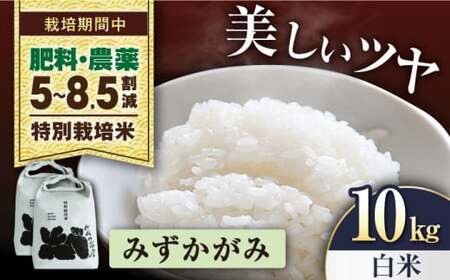 【令和7年産新米】特別栽培米みずかがみ　5kg×2袋　白米[AQCP056] 白米