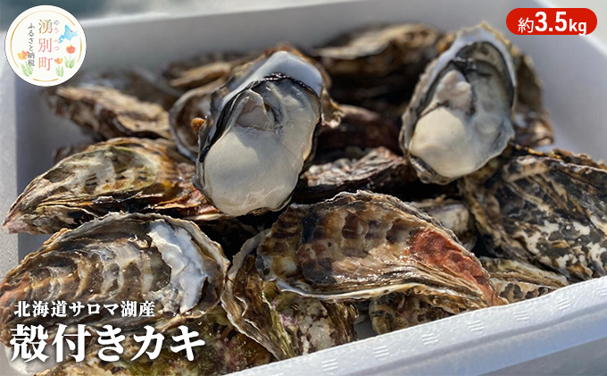 【国内消費拡大求む】先行予約 北海道 サロマ湖産 カキ 約3.5kg 牡蠣 かき 海鮮 魚介 国産 殻付き 貝付き 生牡蠣 生食 焼き牡蠣 蒸し牡蠣 冷蔵 産地直送 オホーツク 魚貝類