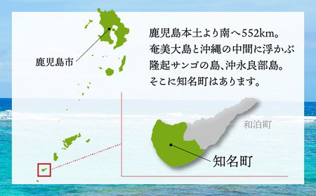 【 2025年 先行予約 】【 訳あり 】おいしさ そのまま ！ふじ農園 の 完熟 マンゴー 2kg C031-003 完熟マンゴー 果物 フルーツ 果実 先行予約 限定 先行受付 訳アリ ワケアリ 