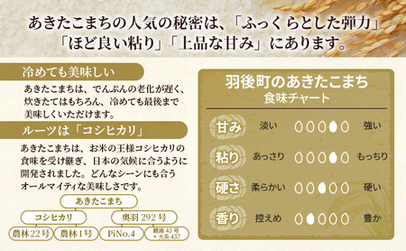 新米予約［令和7年産］定期便 秋田県産 あきたこまち 5kg×1袋 全6回 毎月お届け 羽後町産 [藤原商店]【 米 お米 白米 精米 新米 あきたこまち アキタコマチ 定期 定期便 美味しい 秋田 