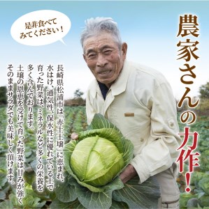 【B2-099】道の駅松浦海のふるさと館『旬のお野菜＋産みたて濃厚玉子6個＋お米5kg』の大満足セット！