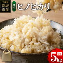 【ふるさと納税】ヒノヒカリ 玄米 5kg (1袋) 宮崎県都城市産 ＜単一原料米＞