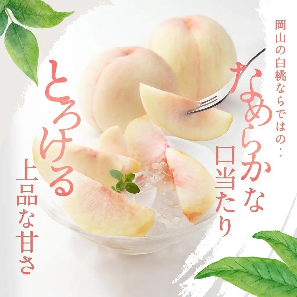 白桃 岡山県産 白桃【8玉 約2.0kg】【先行予約】