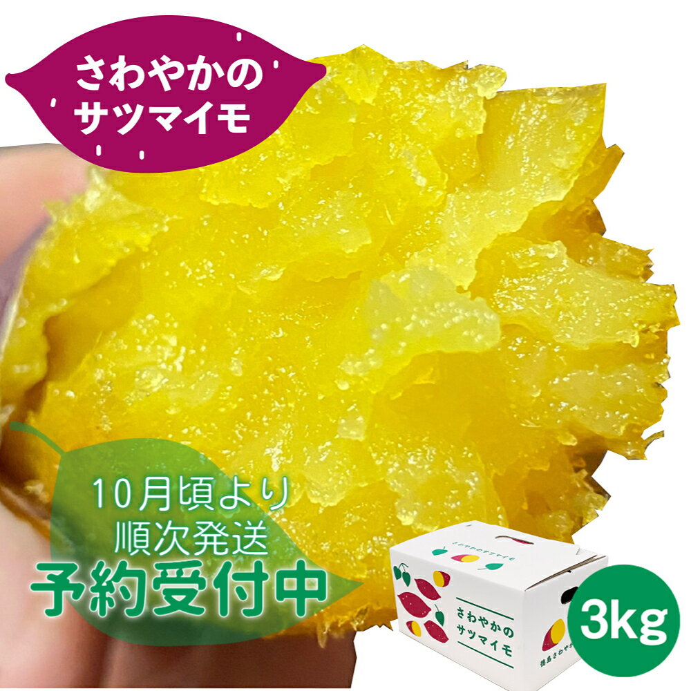 【 予約受付中・2023年10月頃より順次発送 】 さわやかのサツマイモ 3kg（10本〜15本） ＜ 徳島さわやかファーム ＞ ｜ さつまいも ねっとり 甘い 熟成 国産 産地直送 スイーツ 焼き芋 焼芋 焼きいも おやつ 天ぷら 干し芋