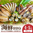 【ふるさと納税】大満足！京丹後・海鮮BBQ Dセット 贅沢アワビ付 6種22品（4～5人前） 魚介類 さざえ 蠑螺 カキ かき いか かれい あわび 鮑 バーベキュー ばーべきゅー きゃんぷ アウトドア あうとどあ 個包装 冷凍 送料無料