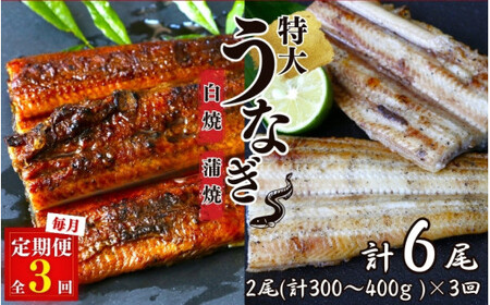 【3カ月定期便】特大うなぎ蒲焼き、うなぎ白焼き各1本セット×3回/ 和歌山 田辺 うなぎ 鰻 かば焼き うな丼 うな重 国産 鰻丼【kpy030-tk】