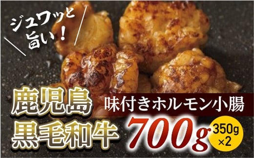 
味付きホルモン小腸700g(350g×２)　鹿児島黒毛和牛【尾崎牧場】
