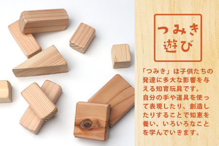 「木頭杉の積み木セット」徳島県立那賀高等学校 森林クリエイト科制作【徳島県 徳島 那賀町 高校生制作 積木 積み木 知育 木育 玩具 おもちゃ 知育玩具 木の積み木 幼児 教育 木頭杉 杉 天然木 木
