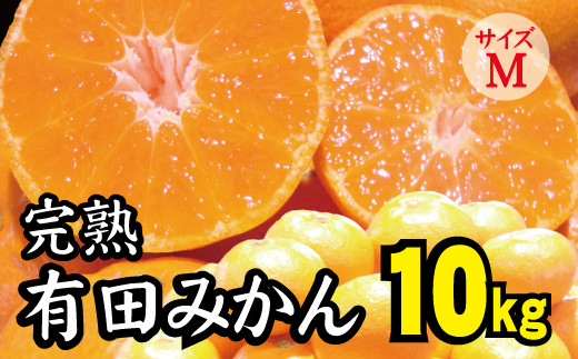 
【2022年秋以降発送予約分】【農家直送】完熟有田みかんＭサイズ　約10kg 有機質肥料100% 先行予約 ※2022年11月中旬より順次発送予定（お届け日指定不可）
