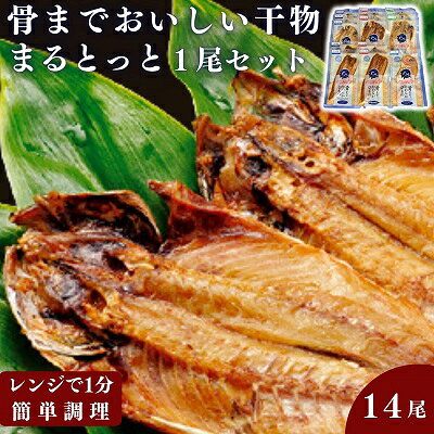 【ふるさと納税】骨までおいしい干物「まるとっと」1尾セット 魚貝類 加工品 干物セット 魚 おかず あじ開き みりん干し さんま開き たい丸物 朝食 食卓