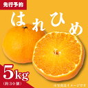 【ふるさと納税】みかん 柑橘 オレンジ はれひめ 5kg フルーツ 果物 ブランド 晴れ姫 プレゼント 贈り物 ビタミン 甘い 美味しい 先行予約 徳島県 阿波市