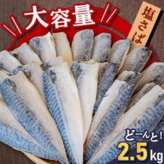 訳あり 塩さばフィレ 2.5kg(26枚前後入り)  冷凍便にてお届け!おかずにぴったり!