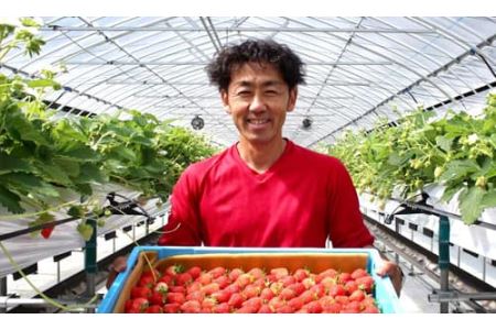 みやむら農園　希少な夏いちご『サマープリンセス（２パック）』