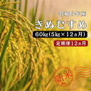 【ふるさと納税】令和6年産 ／お米定期便／12ヵ月　しまね川本 きぬむすめ 5kg (計60kg） 島根県 川本町産 老舗米屋 厳選 藤屋