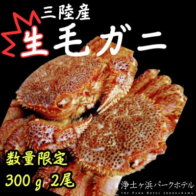 【先行予約(2月発送)】岩手県より獲れたて鮮魚直送便 【生毛ガニ300g×2杯】【配送不可地域：離島・沖縄県・九州】