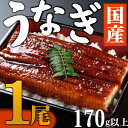 【ふるさと納税】【数量限定】海土のうなぎの蒲焼き　1尾 ウナギ 鰻 惣菜 冷凍 おかず 10000円 1万円 魚介 訳あり 送料無料 kd037