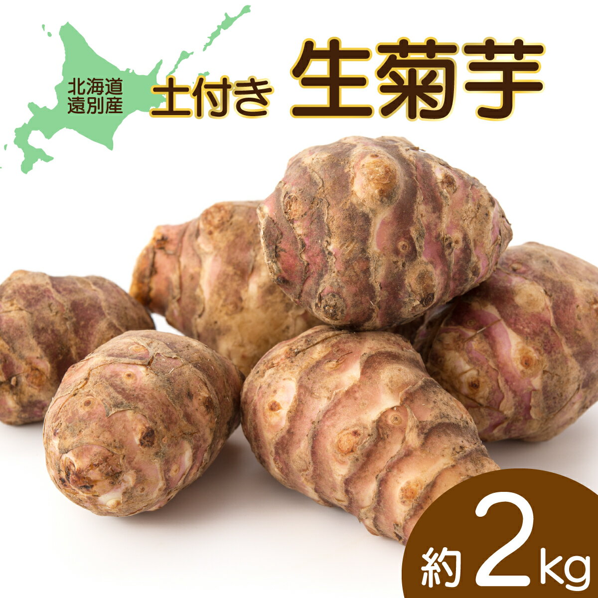 【ふるさと納税】土付き菊芋(赤) 約2kg　芋 菊芋 いも 野菜 根菜 天ぷら サラダ 煮物 ふるさと 北海道 遠別町