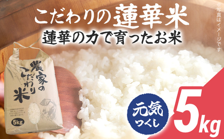 米 5kg 元気つくし【10/1～寄附額改定】 数量限定 こだわりの蓮華米 精米 農家直送 蓮華米 白米 国産米 国産 おにぎり お弁当 福岡県 福岡 九州 グルメ お取り寄せ【10月上旬より順次出荷予定】