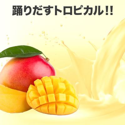 ふるさと納税 瑞穂町 ビーレジェンドWPCプロテイン GO!GO!マンゴー風味 1kg |  | 02