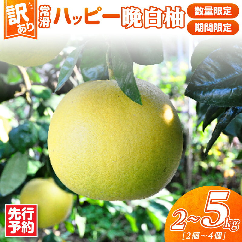 【ふるさと納税】先行予約【 訳あり 】常滑ハッピー晩白柚【選べる容量！2〜3kg または 3〜5kg 】＼ 数量限定／ 世界一大きな果樹 世界一の重量級の柑橘 ばんぺいゆ 柑橘 果物 みかん 柑橘 フルーツ 季節のフルーツ お取り寄せ 送料無料