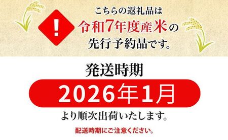 【ふるなびWEEK対象】【令和7年産先行予約】北海道 定期便 3ヵ月連続3回 令和7年産 ななつぼし 5kg×2袋 特A 精米 米 白米 ご飯 お米 ごはん 国産 北海道産 ブランド米 おにぎり ふっ